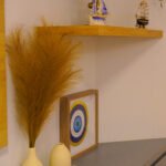 DSC00024.jpg